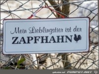 Zapfhahn
