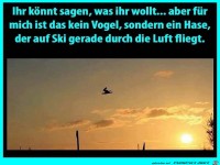 Optische T�uschung