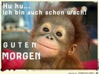 Guten Morgen
