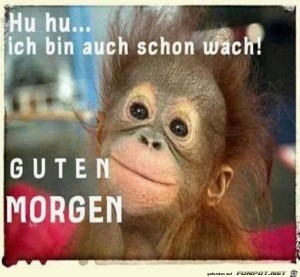 Begrüßungsbild