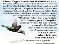 eines tages brach ein Waldbrand aus