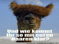 Wie kommt ihr so mit euren Haaren klar?