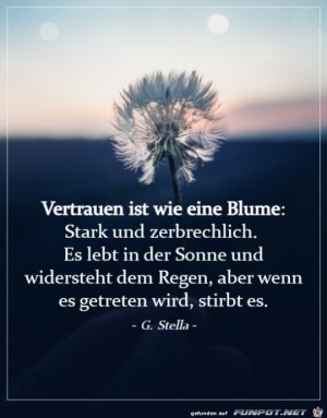 Das-Vertrauen.jpg auf www.funpot.net
