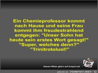 Ein Chemieprofessor kommt nach Hause und seine Frau kommt...