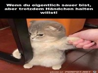K�tzchen ist sauer