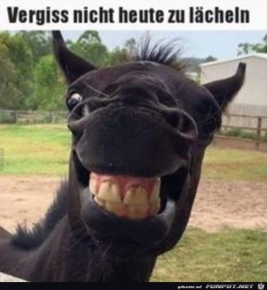 Laecheln.jpg auf www.funpot.net