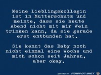 B�se Kollegin