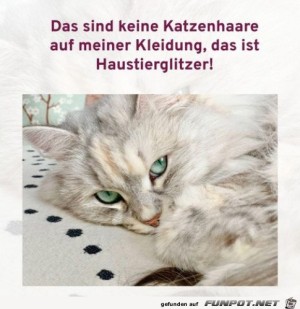 Haustierglitzer.jpg auf www.funpot.net