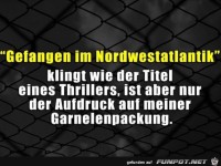 Klingt erst mal spannend