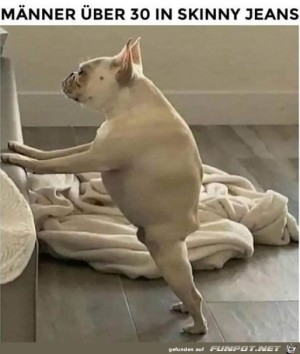 Sieht-lustig-aus.jpg auf www.funpot.net