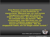Eine Person versucht verzweifelt ihr Fahrzeug in eine...