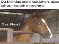 Lustiges Pferde-Meme auf der Ranch