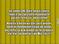 Hund und Terrasse im Zustell-Dilemma