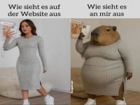 Kleidungskauf online: Erwartungen vs. Realit�t