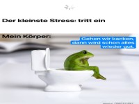 Frosch auf dem Thron der Entspannung