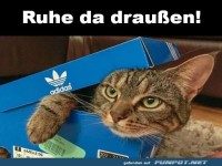 Ruhe da drau�en