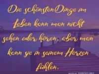 Wenn Augen Ohren brauchen k�nnten!