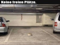 VIP-Parkplatz f�r die kleinsten Fahrer