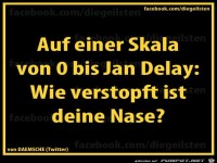 diegeilsten Nase