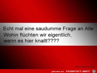 Mal dumme Frage