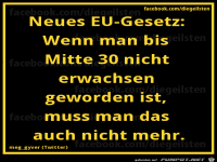 diegeilsten EU-Gesetz