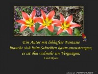 Autor der Fantasie