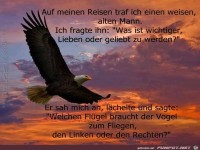 Auf meinen Reisen