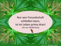 Freundschaft schliessen