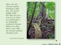 Herr lass die Wurzel