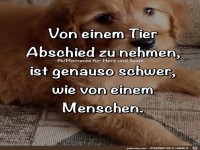 Von einem Tier Abschied nehmen