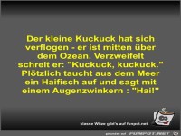 Der kleine Kuckuck hat sich verflogen - er ist mitten über