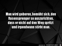 Man wird geboren