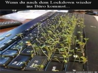 Bro nach dem Lockdown