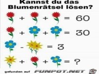 Kannst du das Blumenrätsel lösen ?
