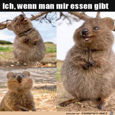 Es-gibt-Essen.jpg von Marleen