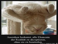 Entspannung pur