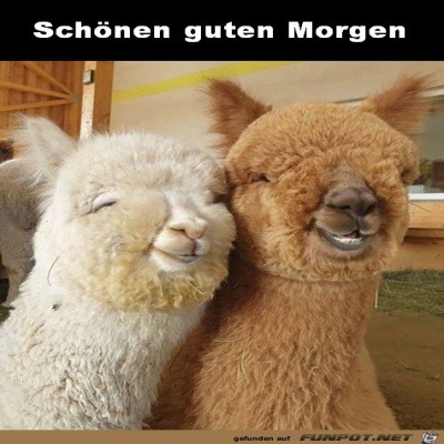 Guten-Morgen.jpg von Alina