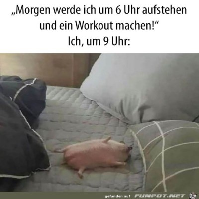 Doch-lieber-liegen-geblieben.jpg von Hannah