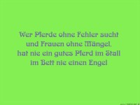 pferde ohne fehler