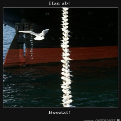 Hau-ab.jpg von Henry