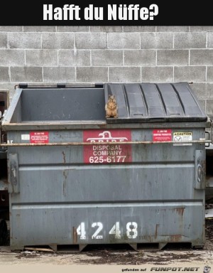 Drolliger-Kerl.jpg auf www.funpot.net