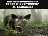 Das Wochenende ist schon vorbei