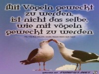 Mit V�geln