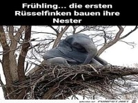 Frühling
