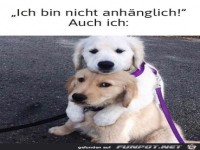 Nicht anhänglich