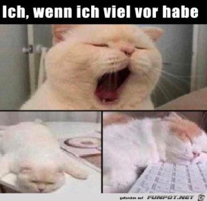 Wenn-ich-viel-vor-habe.jpg auf www.funpot.net
