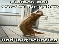 Drau�en laut schreien