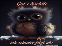 Gute Nacht