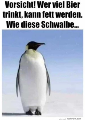 Bier-macht-fett.jpg auf www.funpot.net