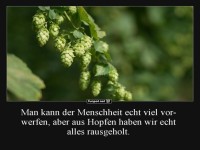 Hopfen und Menschheit: Maximale Nutzung